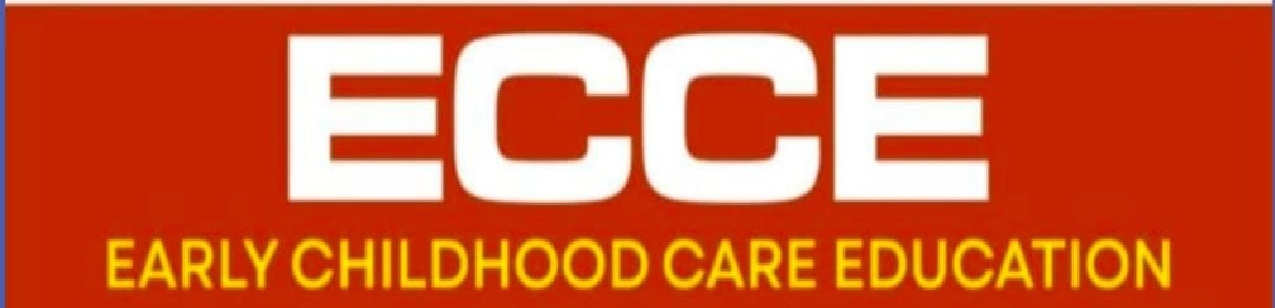 Certificate in Early Childhood Care and Education